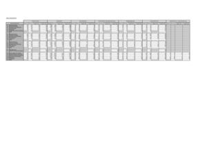 Vergleich Minutenwerte Psych-PV, PPP-RL, Schussenrieder Tabellen