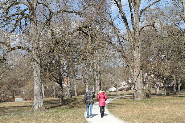 Zwei Menschen (links ein Mann, rechts eine Frau), von hinten gesehen, laufen nebeneinander auf einem Weg durch einen Park mit vielen Bäumen rundherum.