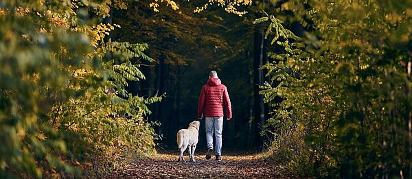 Ein Mann mit roter Jacke und ein Hund sind von hinten bei einem Spaziergang auf einem Waldweg zu sehen.