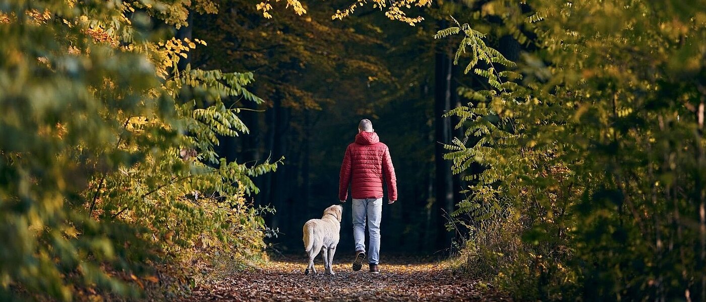 Ein Mann mit roter Jacke und ein Hund sind von hinten bei einem Spaziergang auf einem Waldweg zu sehen.