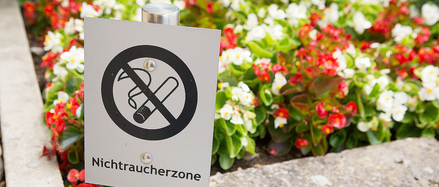 Ein weißes an einem Edelstahlpfosten montiertes Hinweisschild mit dem Symbol Rauchen verboten und dem Wort Nichtraucherzone steht im Vordergrund an der Ecke einer Blumenbeet-Einfassung, im Hintergrund sind weiße und rote Blumen. 