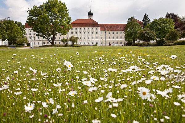 Blumenwiese mit Klostergebäude im Hintergrund. 