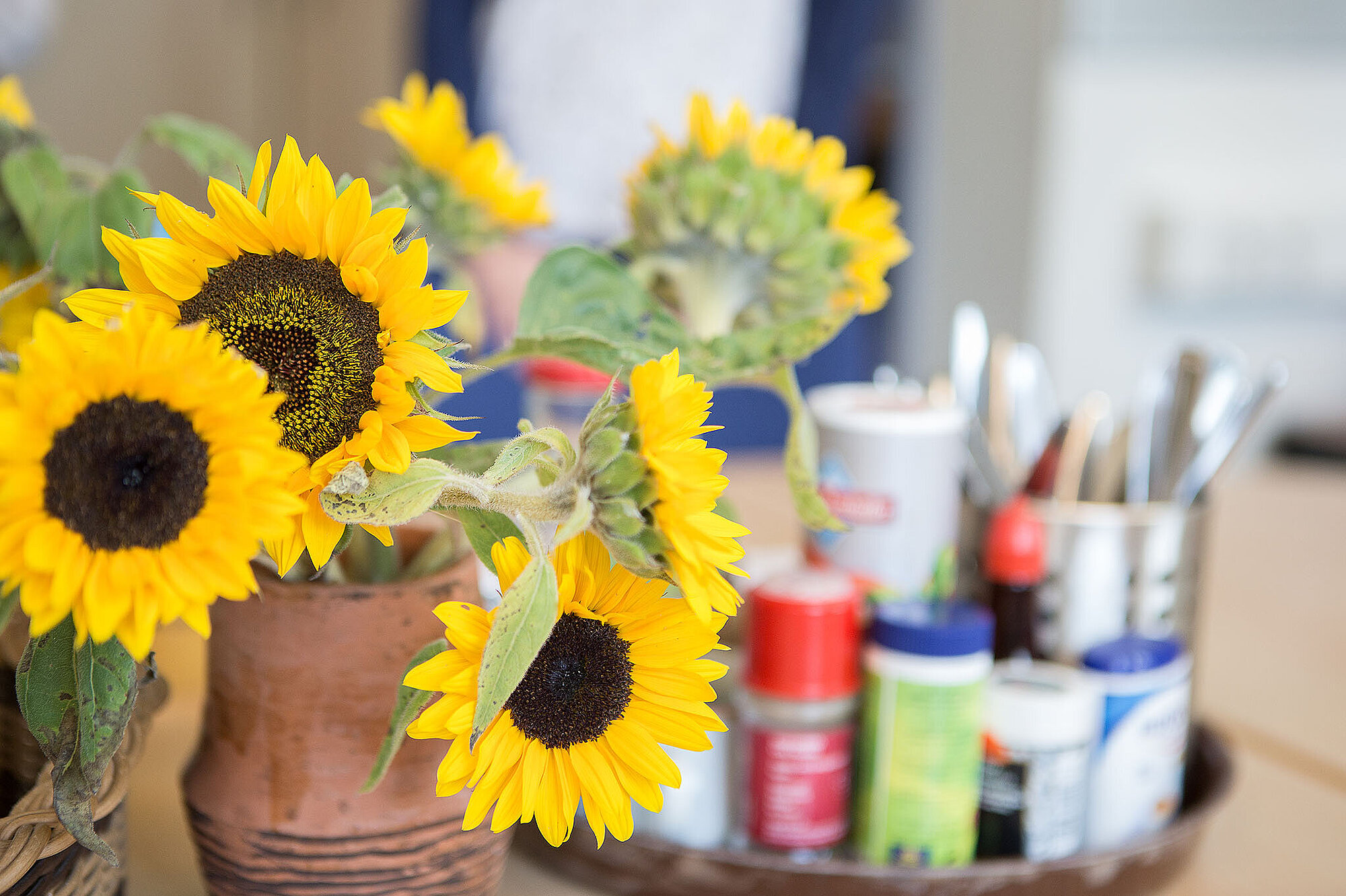 Blühende Sonnenblumen in einer Tonvase