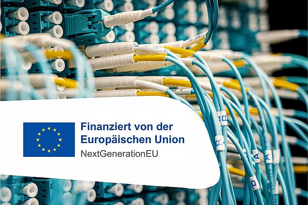 Das Foto zeigt Steckplätze, Stecker und Kabel eines IT-Servers.