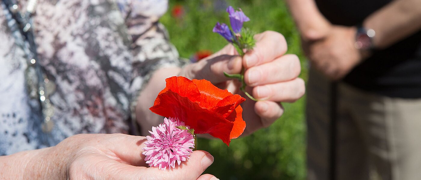 Hände mit Blumen