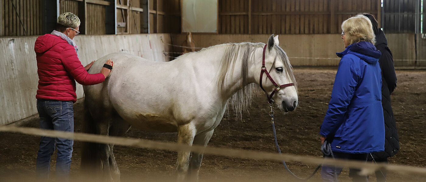 In einer Reithalle steht ein weißes Pferd. Rechts hält eine Frau im blauen Mantel das Pferd an einem Strick fest. Links im Bild steht eine Frau in roter Jacke. Sie steht neben dem Pferd und bürstet sein Fell.
