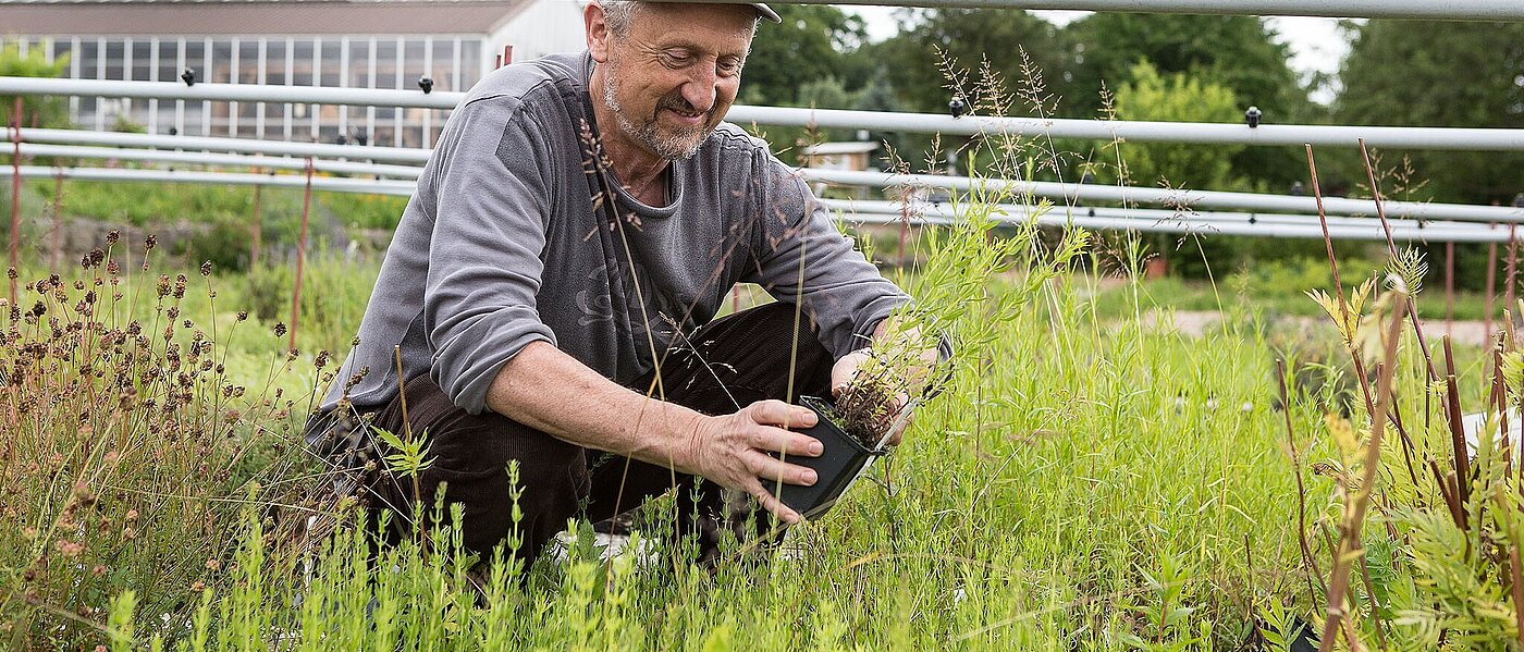 ein Mann in der Hocke im Blumenbeet