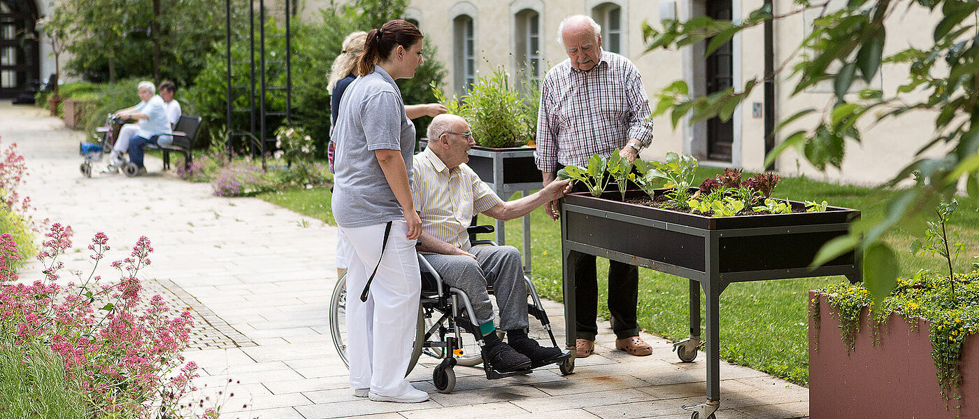 Ältere Herren mit Pflegerinnen im Gemüsegarten