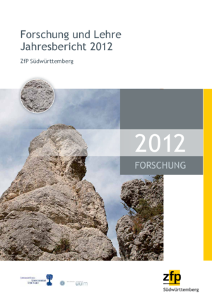 Forschungsbericht 2012