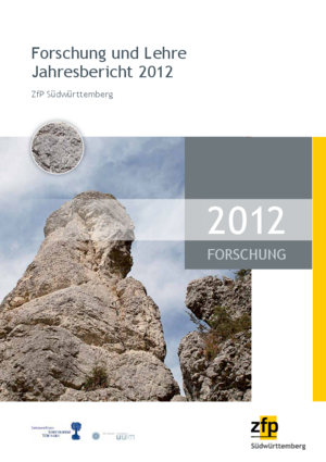 Forschungsbericht 2012