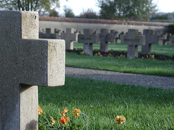 Im Vordergrund ist zur Hälfte ein großes Steinkreuz zu sehen, im Hintergrund mehrere kleine Kreuze eines Friedhofs.