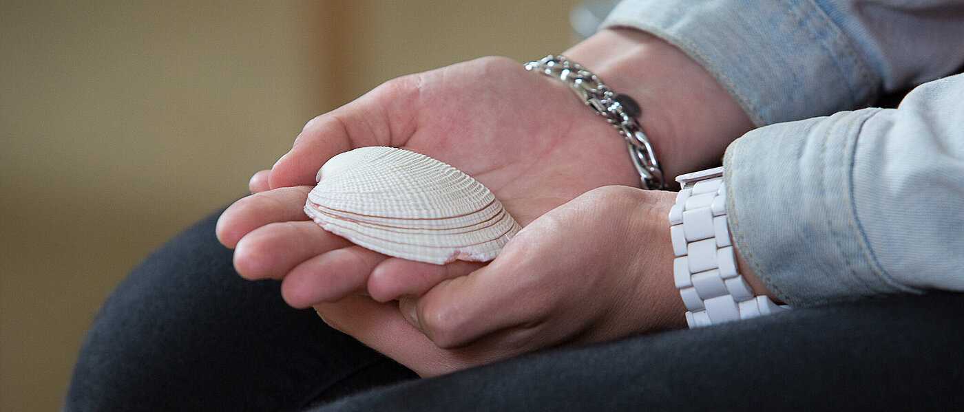 zwei Hände die eine Muschel in der Hand halten