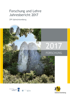 Forschungsbericht 2017