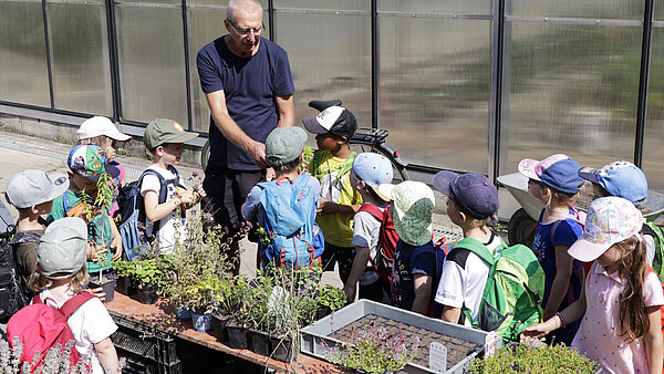 Ein Gärtner steht bei einem Gewächshaus vor einer Auslage Pflanzentöpfe mit Kräutern, umringt von einer Schar Kindergarten-Kinder.
