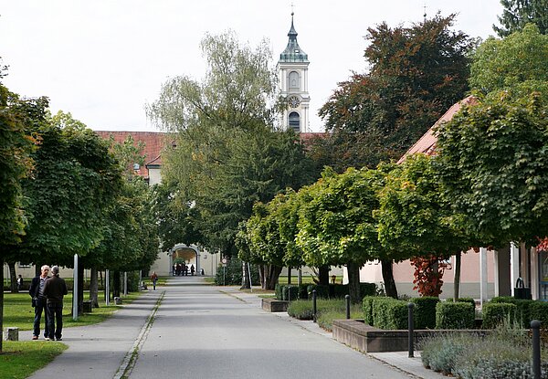 Eine lange Allee, die von Bäumen gesämt wird und auf das Klostergebäude zuläuft.