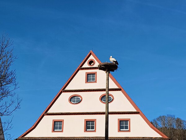 Frisch bezogener Storchenhorst auf dem Klinikgelände des ZfP Südwürttemberg in Zwiefalten. Foto: Heike Amann-Störk.