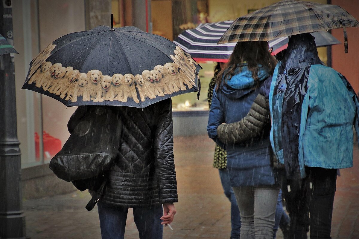 Drei Menschen laufen nebeneinander auf einer Straße. zwei von ihnen halten einen Regenschirm. Die Personen sind von hinten abgebildet.