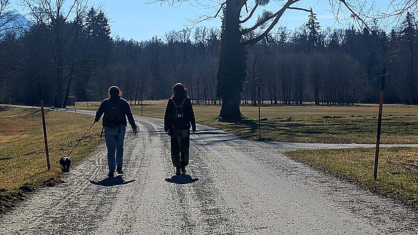 Streetwork im Bodenseekreis Bei blauem Himmel laufen auf einem Kiesweg zwischen zwei Wiesen zwei Personen nebeneinander. Sie sind von hinten zu sehen, die linke Person hält einen kleinen Hund an der Leine. Am Horizont ist ein Wald.
