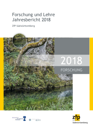Forschungsbericht 2018