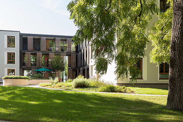 Im Vordergrund ist eine Wiese, die von einem großen Baum rechts beschattet wird. Dahinter ist ein mehrstöckiges Gebäude mit Balkonen in der Sonne.